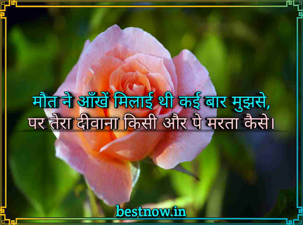 2 Line Shayari