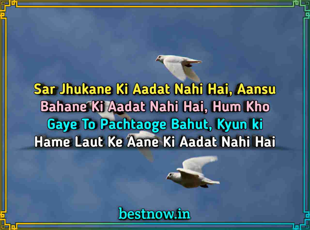 Love shayari in English