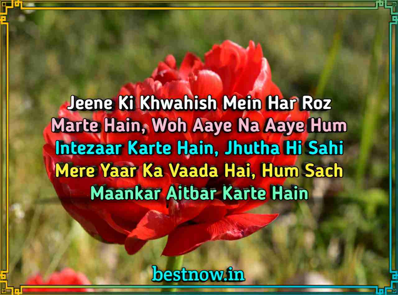 Love shayari in English