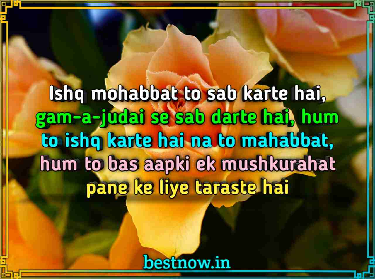 Love shayari in English
