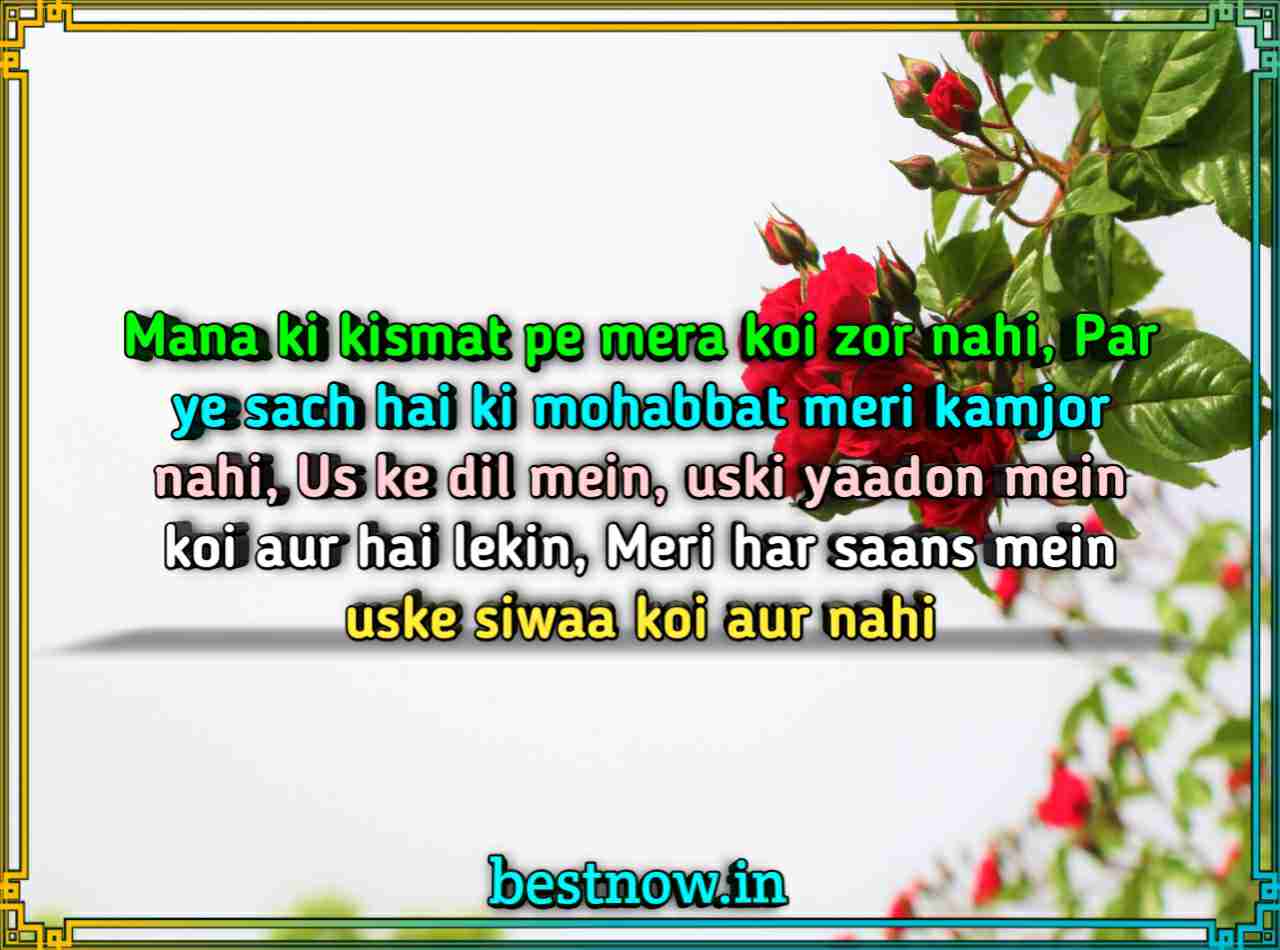 Love shayari in English