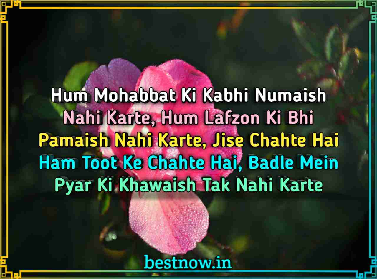 Love shayari in English