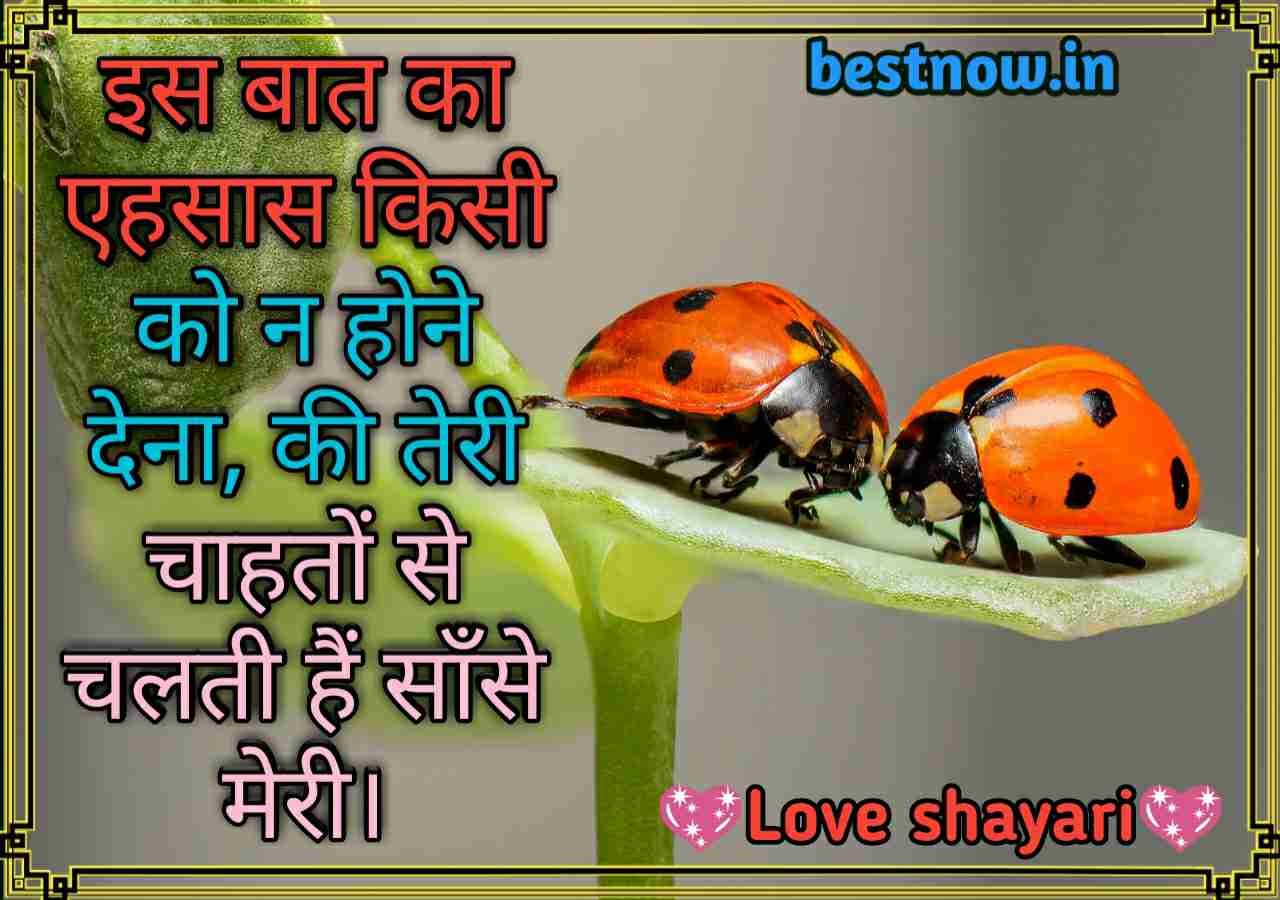 Love Shayari