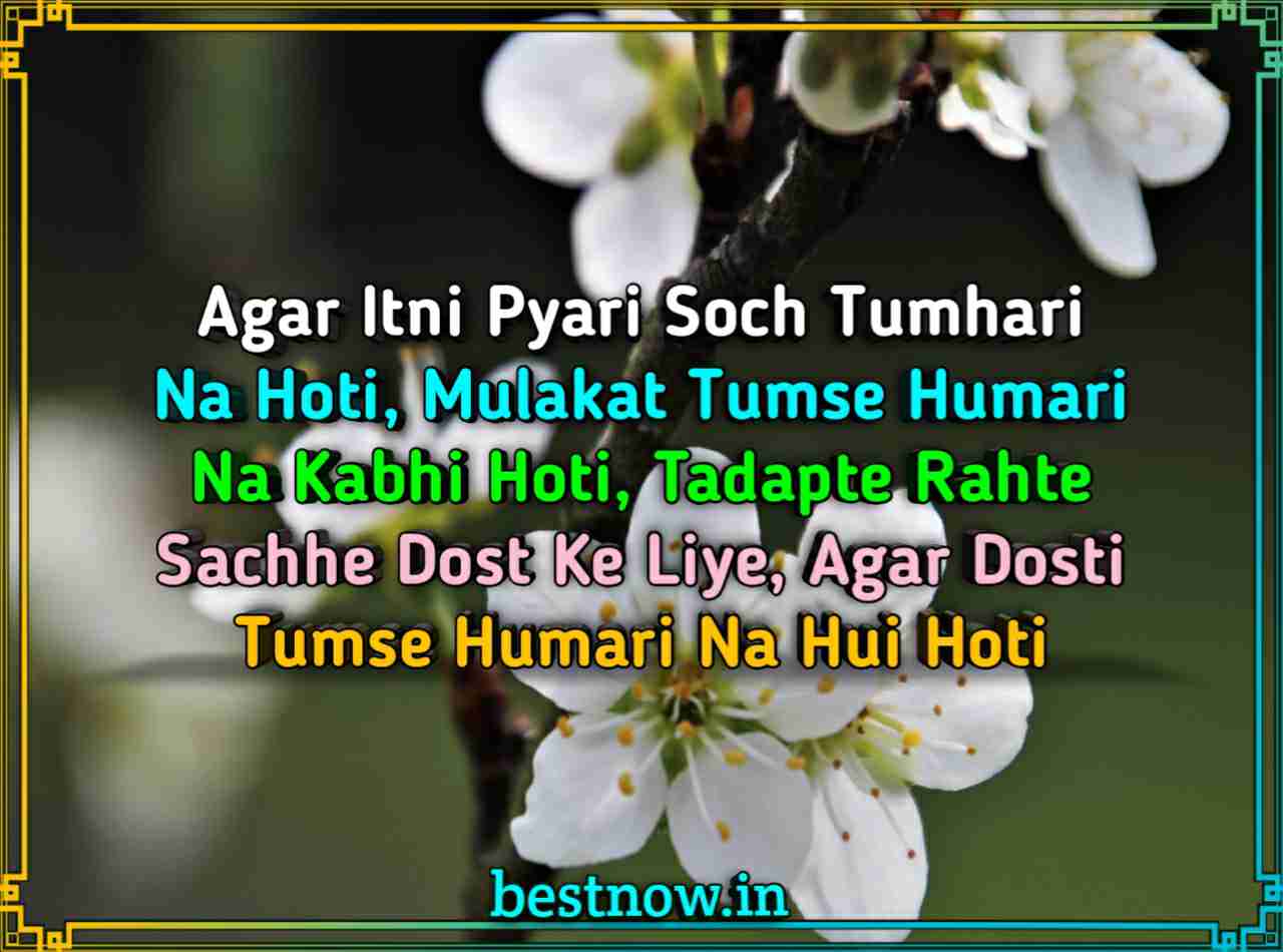 English Shayari