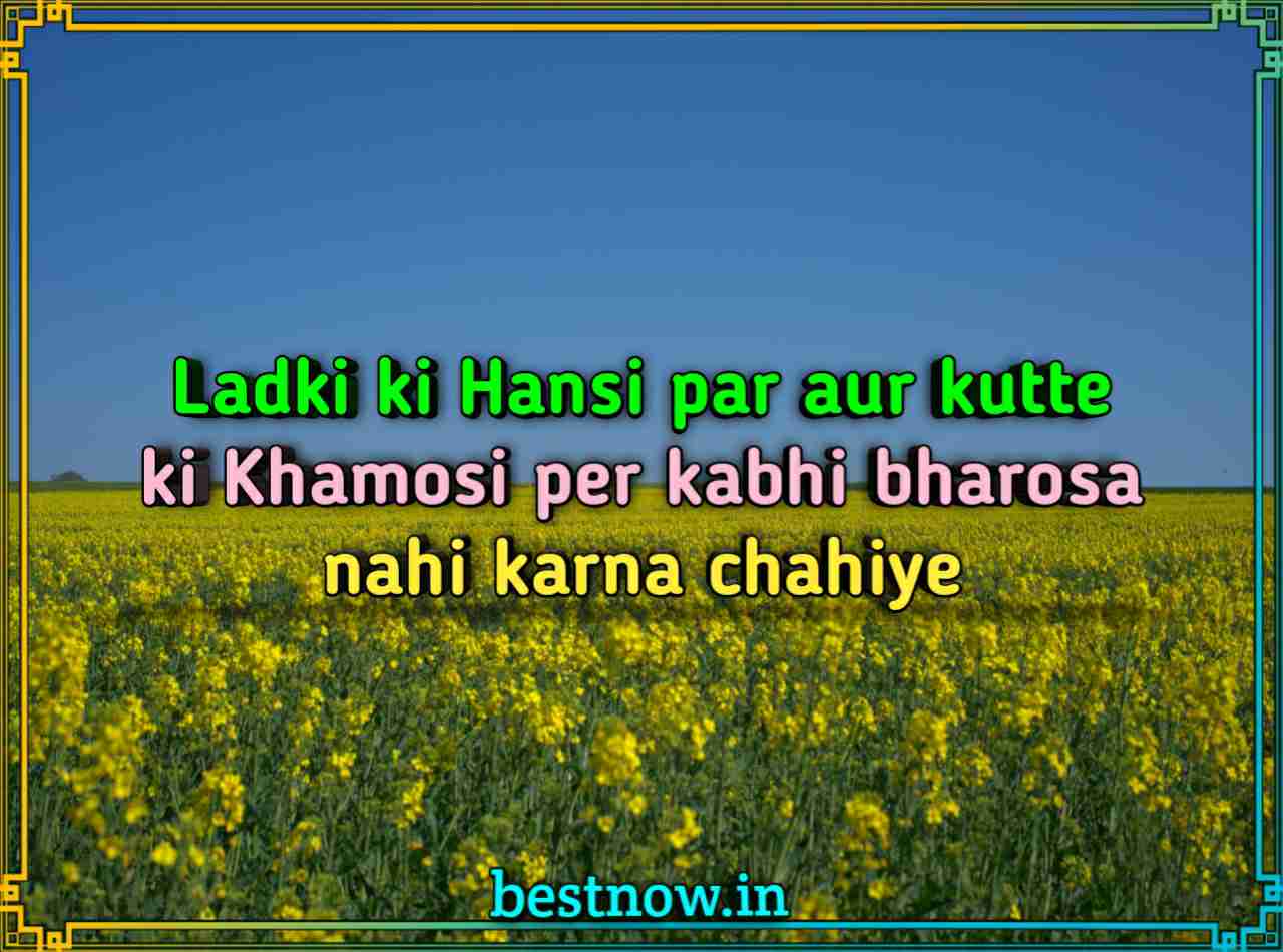 English Shayari