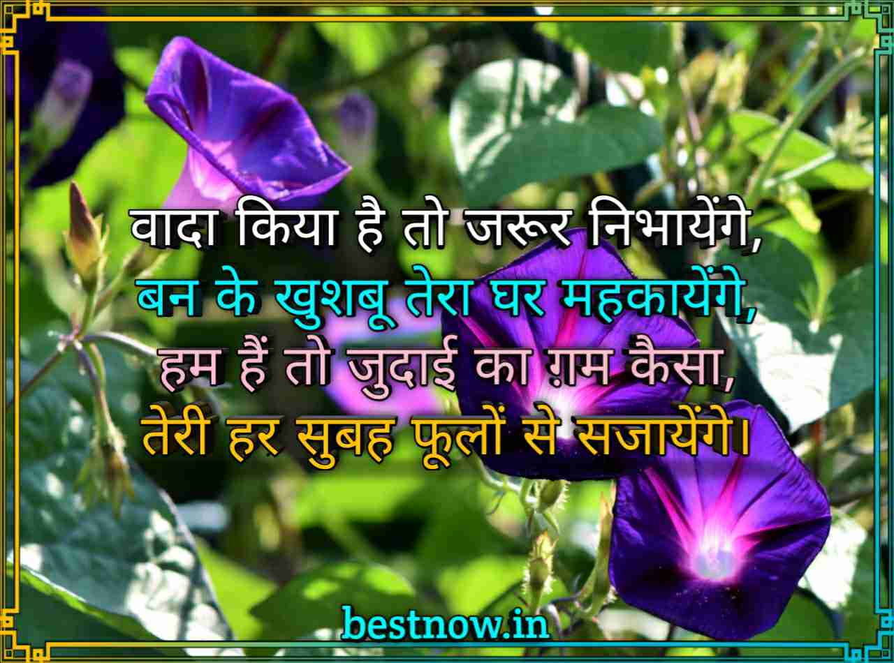 Good Morning Images With Shayari