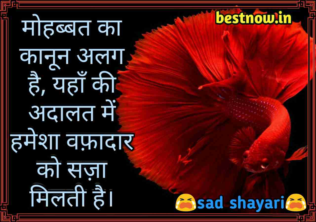 IMG 20190617 112407652