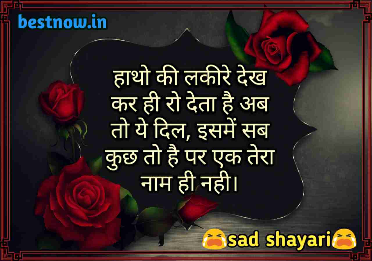 IMG 000000 000000 24