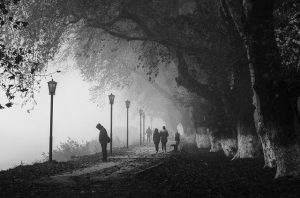 Read more about the article New Latest Best 50 Sad Shayari