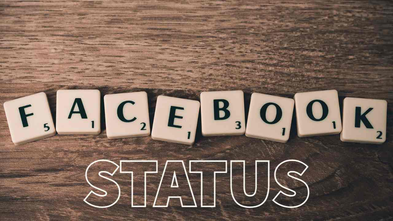 Read more about the article New Latest Best 50 FB Status