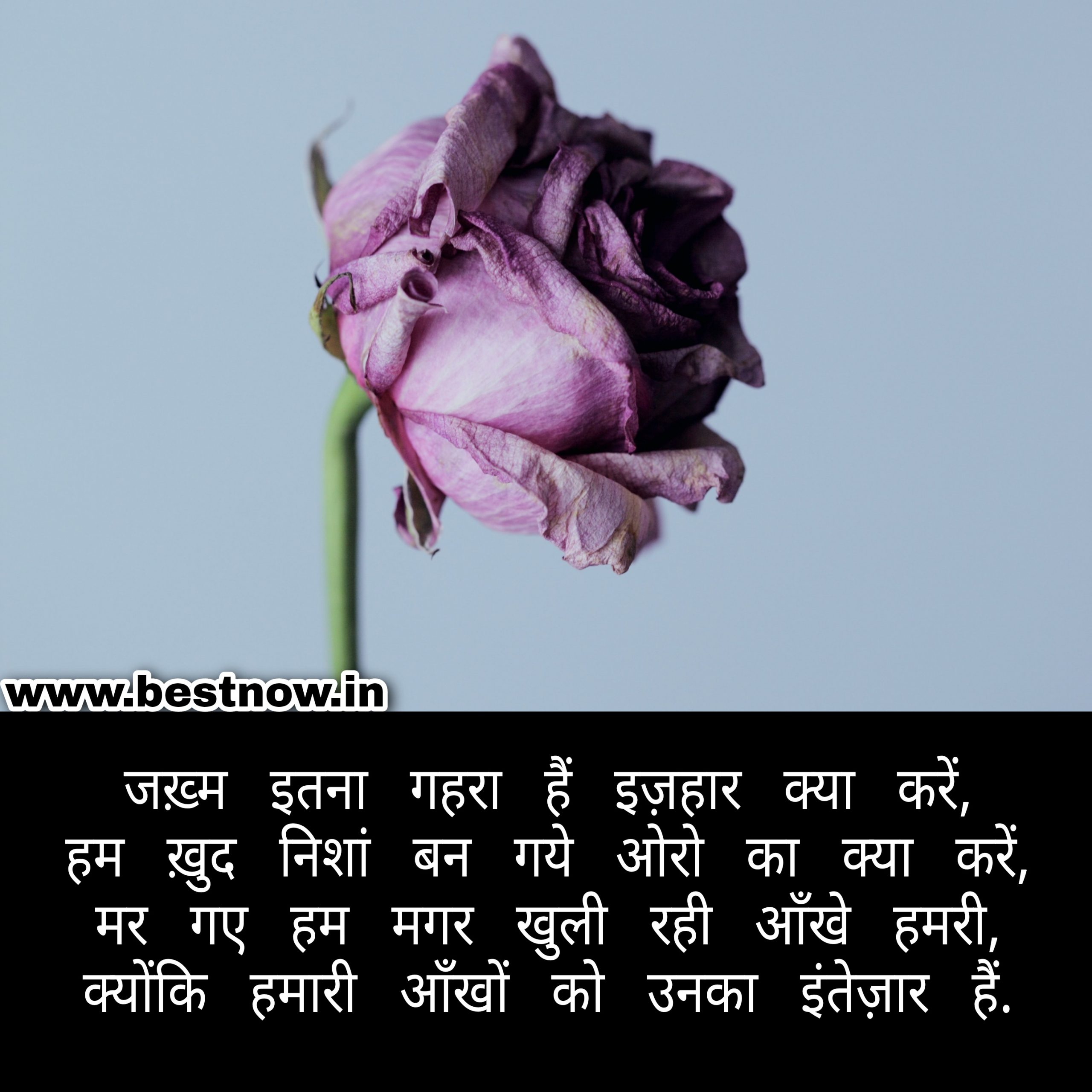 love shayari in hindi

