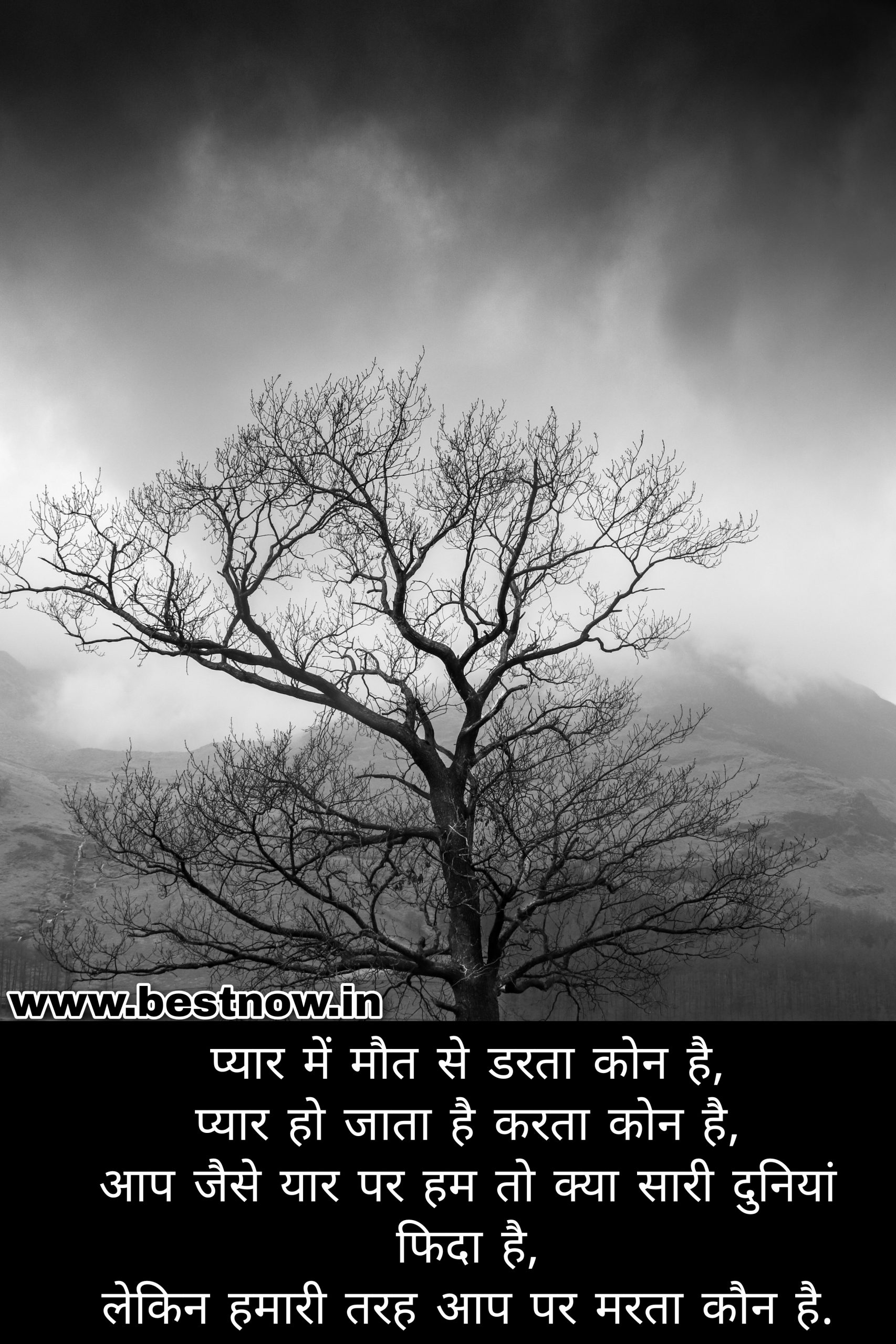 love shayari in hindi

