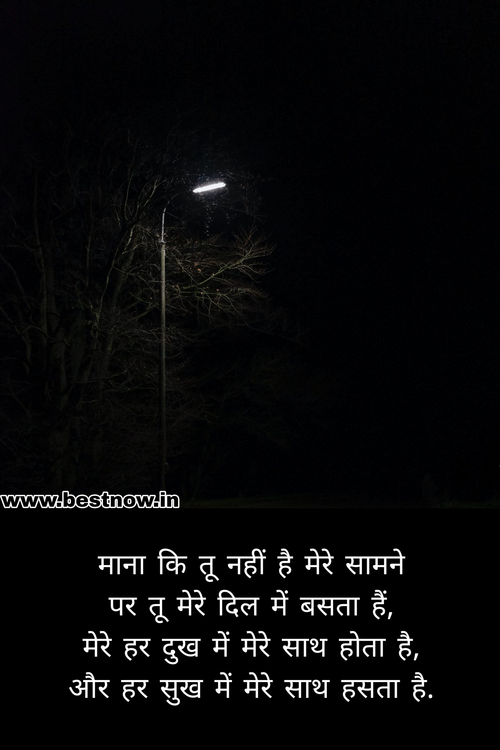 love shayari in hindi

