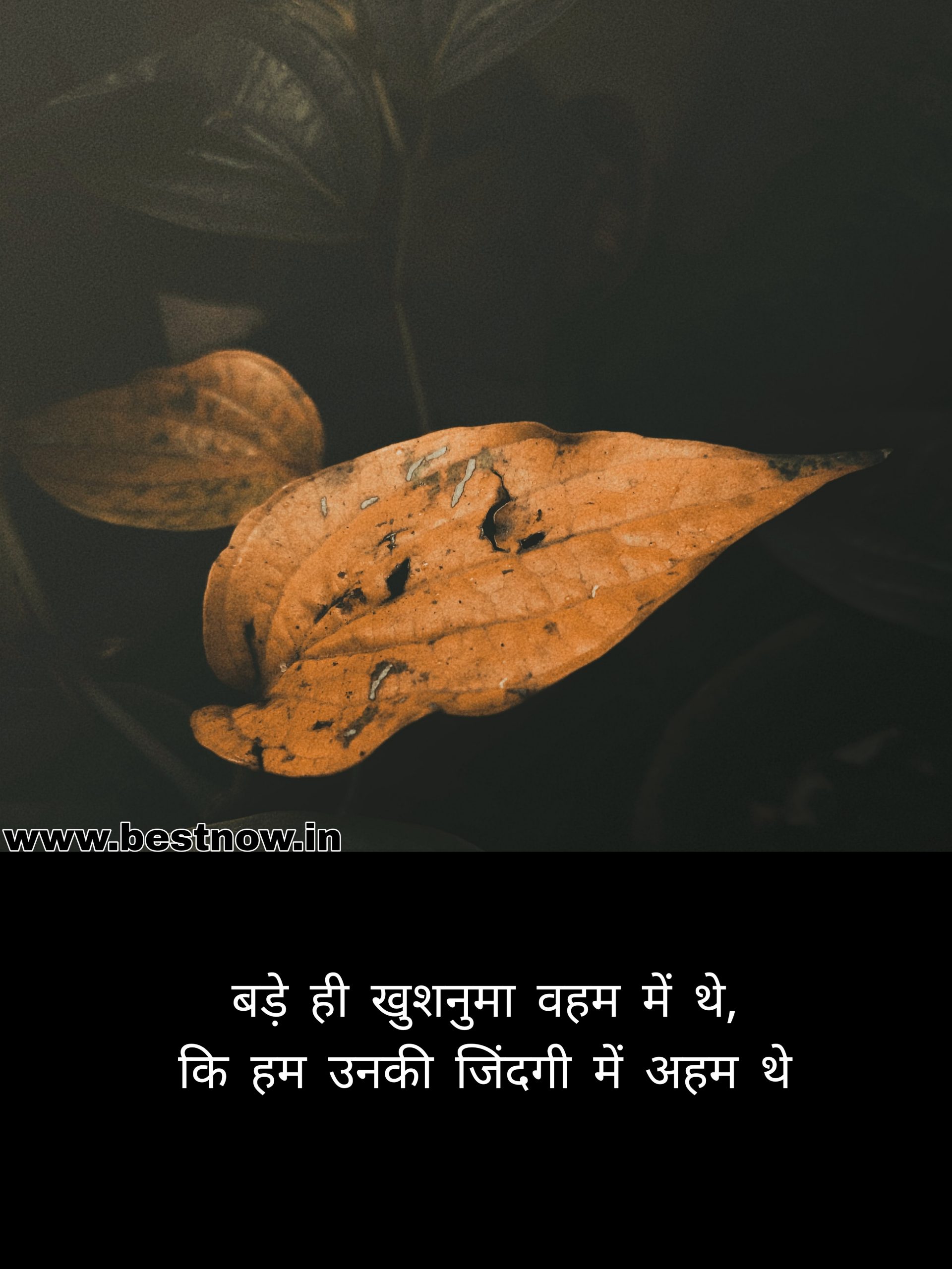 short love shayari

