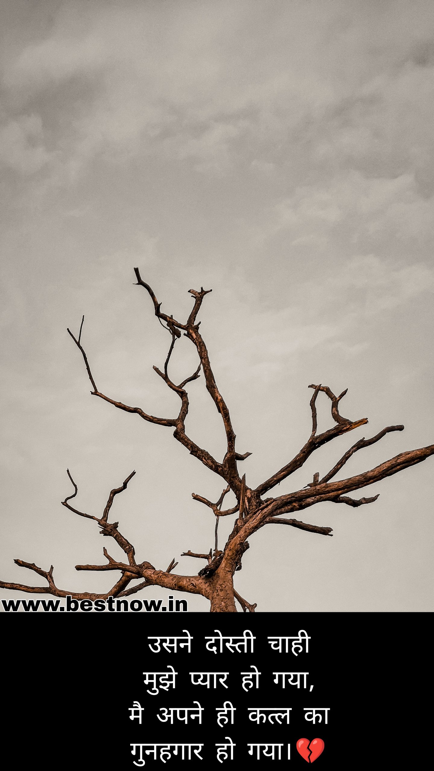 hindi shayari on love

