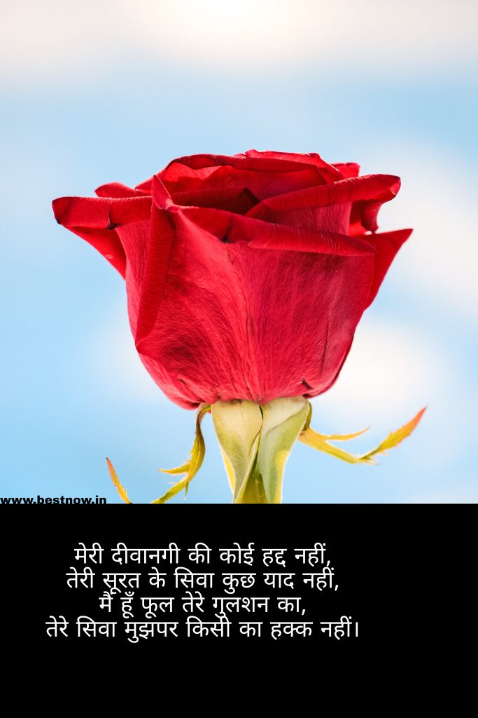 Picsart 22 04 22 23 38 17 706