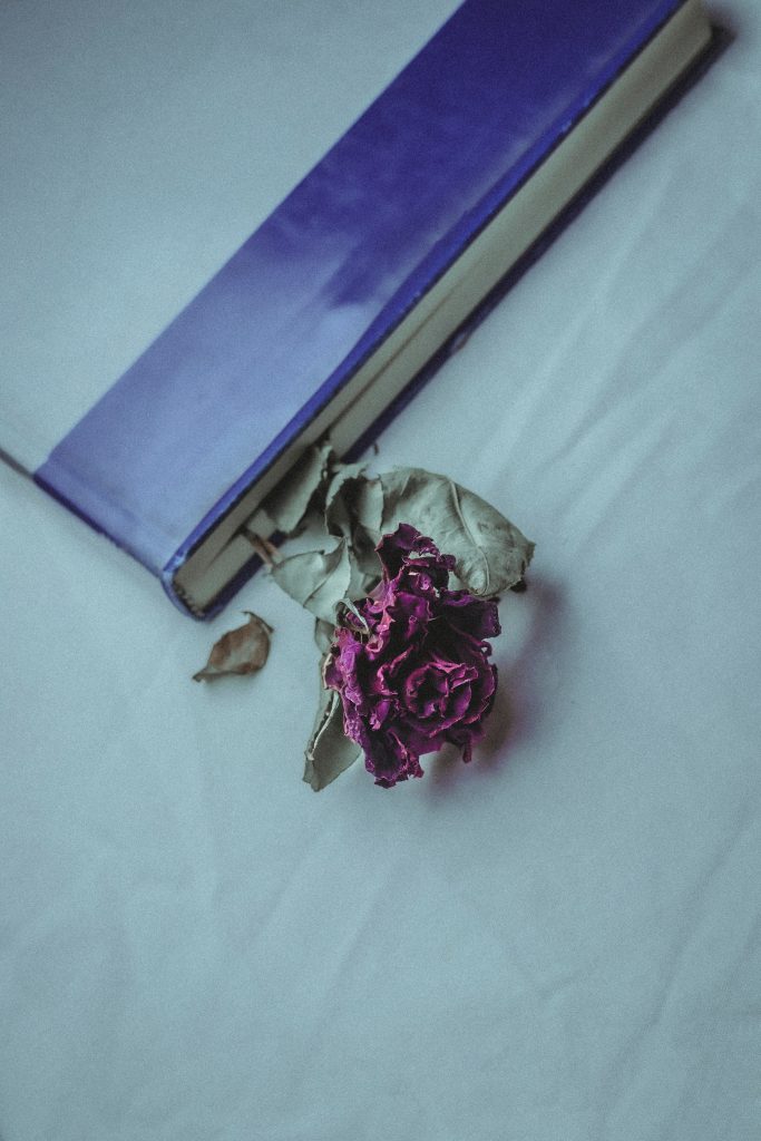 am jd UumdSV8qsPc unsplash