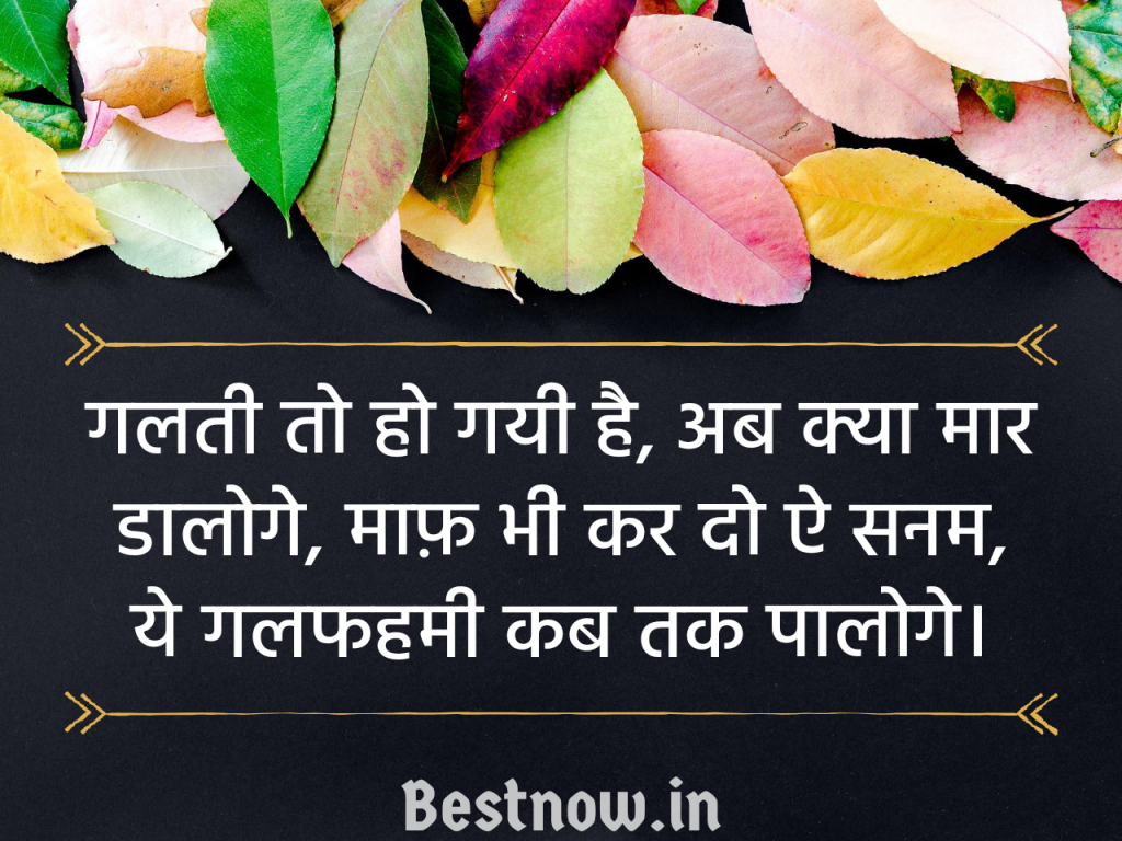 Sorry Shayari In Hindi