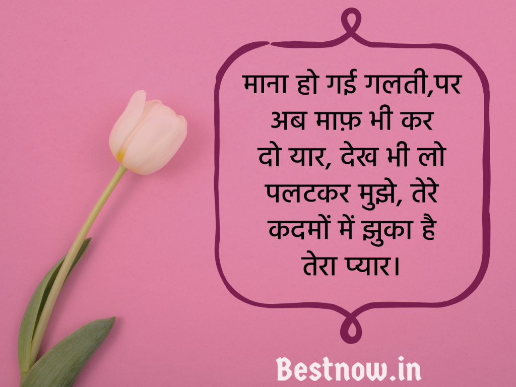 Sorry Shayari In Hindi