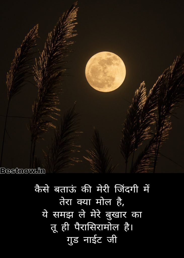Good Night Message In Hindi