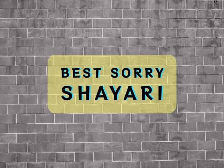 Sorry Shayari